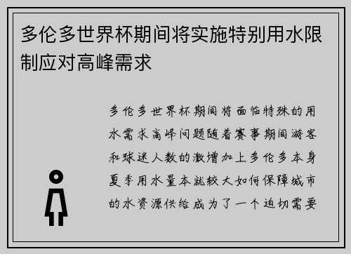 多伦多世界杯期间将实施特别用水限制应对高峰需求