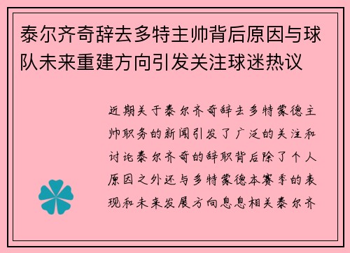 泰尔齐奇辞去多特主帅背后原因与球队未来重建方向引发关注球迷热议
