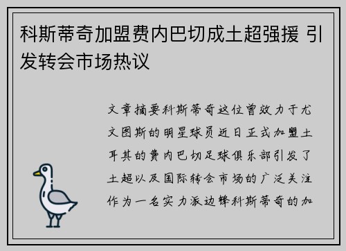 科斯蒂奇加盟费内巴切成土超强援 引发转会市场热议
